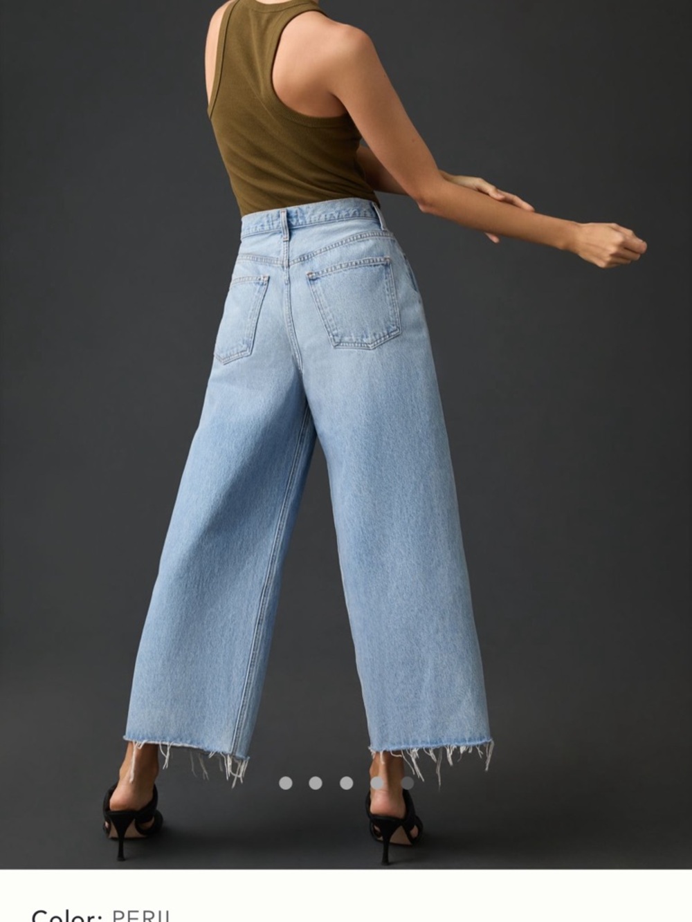 Agolde Dagna Light Blue Wide Leg Pleated Cropped Jeans, 26 - Picture 4 of 8